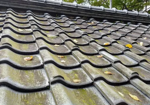 屋根の症状写真1