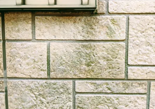 外壁の症状写真1