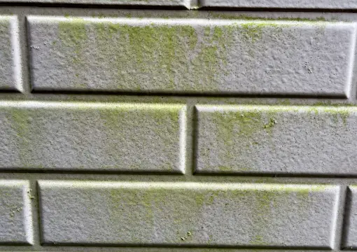 外壁の症状写真2