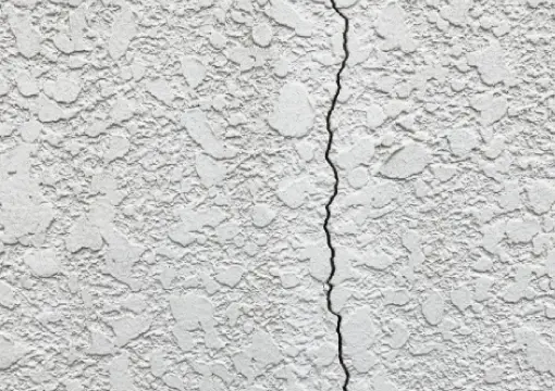 外壁の症状写真1