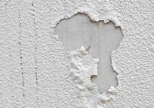 外壁の症状写真2