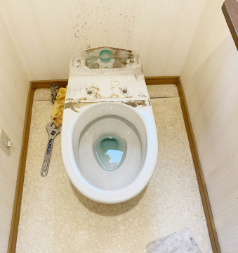 既存便器の取り外し
