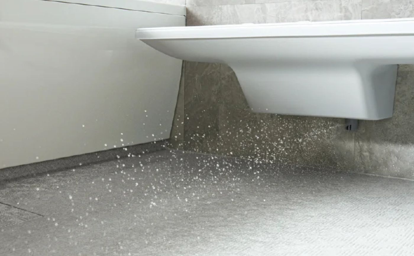 きれい除菌水浴室